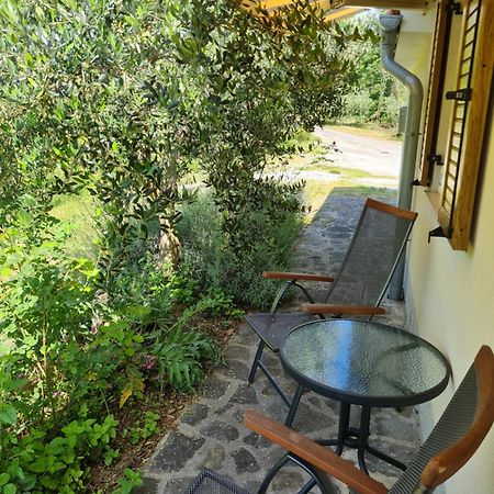 Apartma Istra Zora Сечовле Экстерьер фото