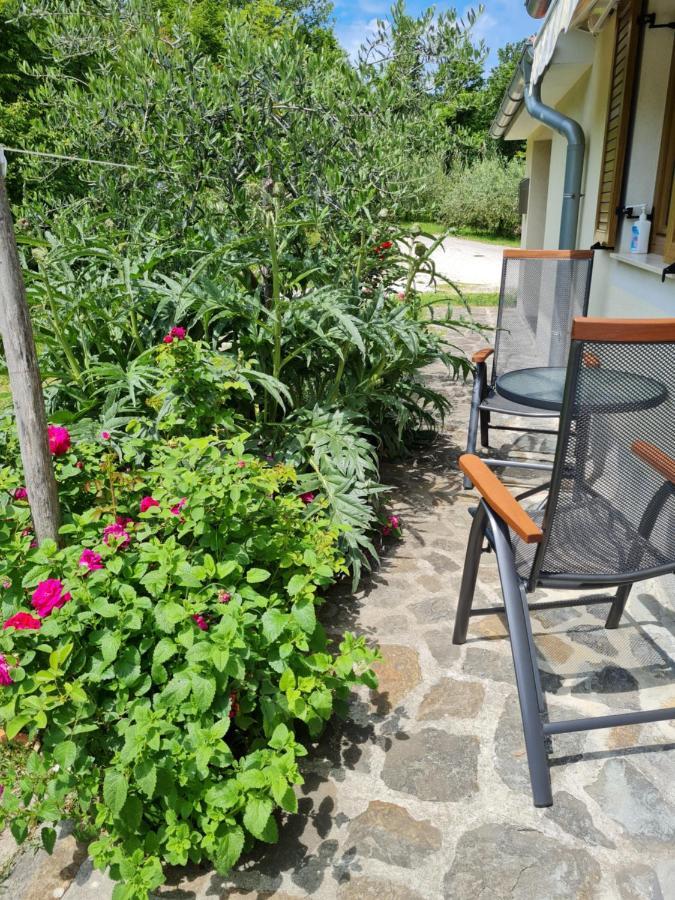 Apartma Istra Zora Сечовле Экстерьер фото