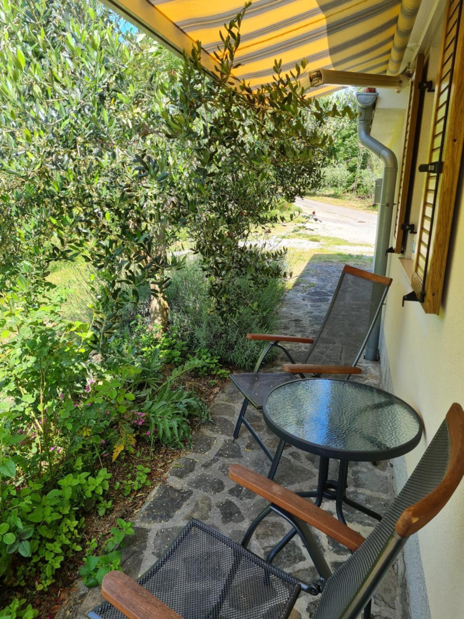 Apartma Istra Zora Сечовле Экстерьер фото