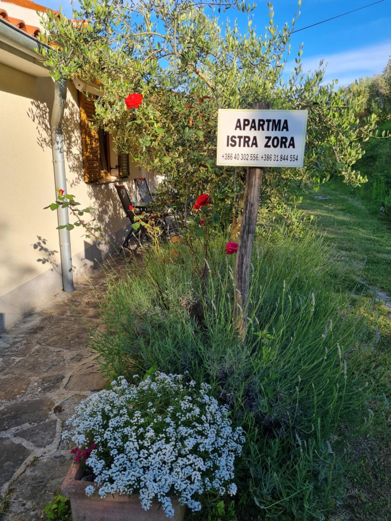 Apartma Istra Zora Сечовле Экстерьер фото