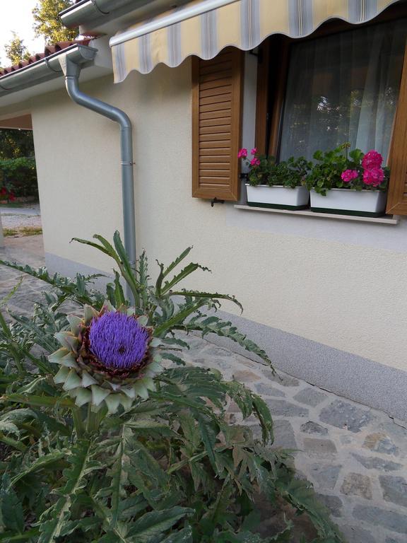 Apartma Istra Zora Сечовле Экстерьер фото